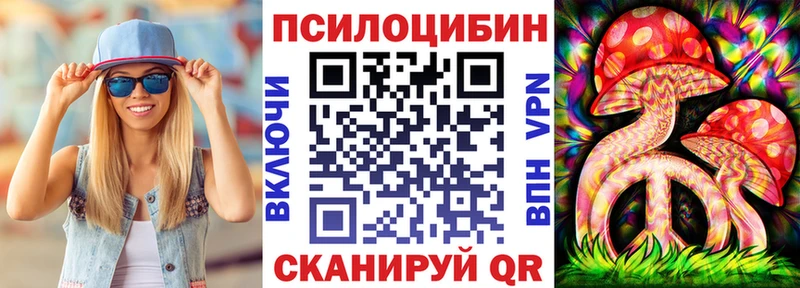 Галлюциногенные грибы Psilocybe  купить  цена  Берёзовский 